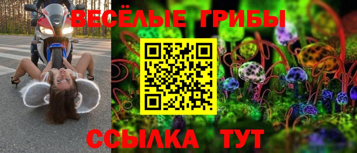 Псилоцибиновые грибы прущие грибы Урус-Мартан